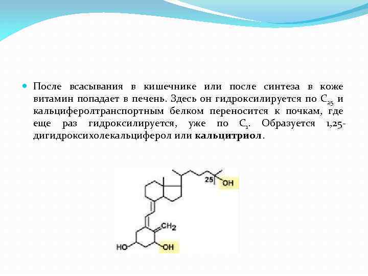  После всасывания в кишечнике или после синтеза в коже витамин попадает в печень.