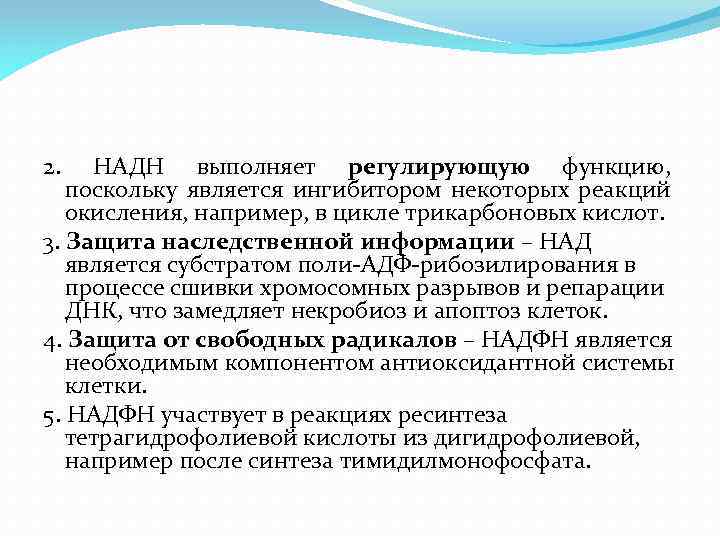 2. НАДН выполняет регулирующую функцию, поскольку является ингибитором некоторых реакций окисления, например, в цикле