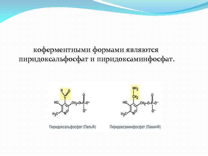 коферментными формами являются пиридоксальфосфат и пиридоксаминфосфат. 