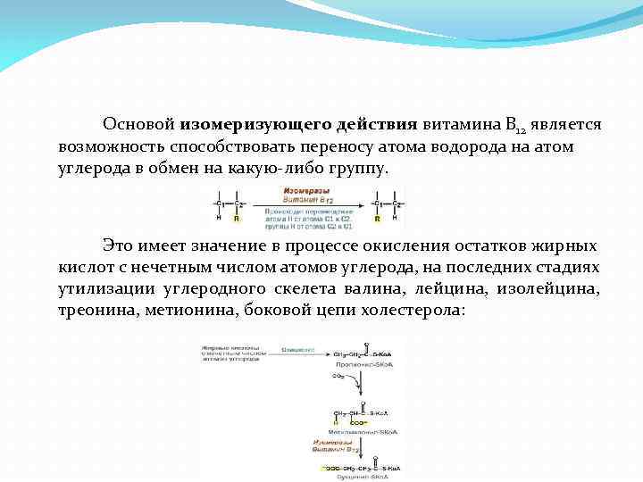 Основой изомеризующего действия витамина В 12 является возможность способствовать переносу атома водорода на атом