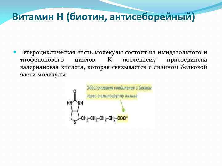 Биотин витамин н презентация