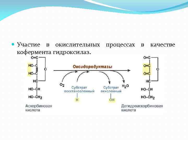  Участие в окислительных процессах в качестве кофермента гидроксилаз. 