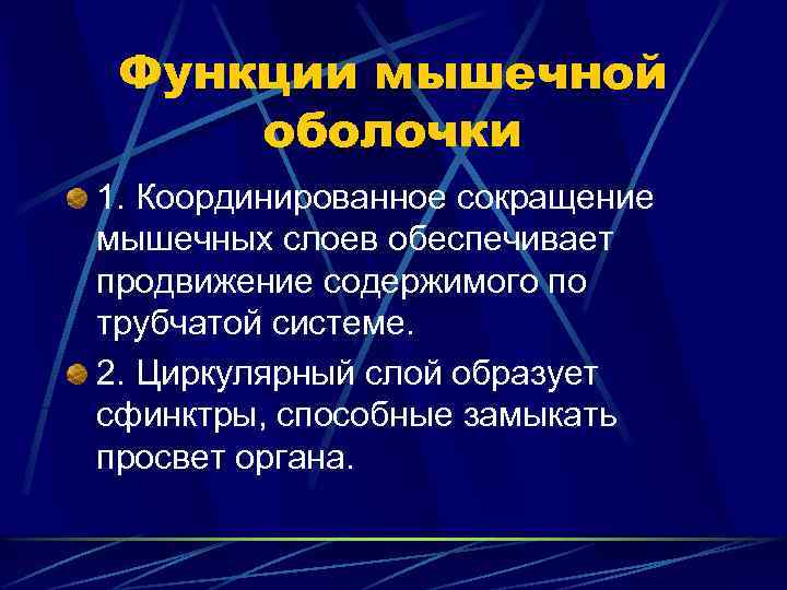 Функции мышечной оболочки 1. Координированное сокращение мышечных слоев обеспечивает продвижение содержимого по трубчатой системе.