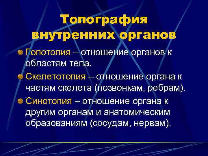 Топография внутренних органов Голотопия – отношение органов к областям тела. Скелетотопия – отношение органа