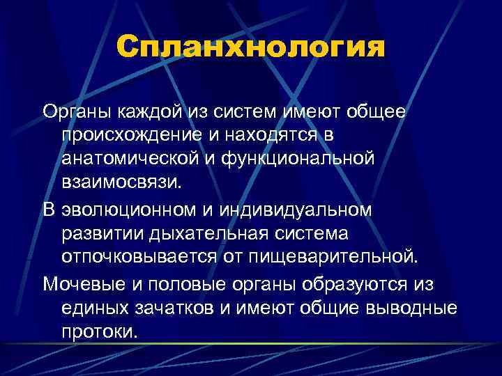 Спланхнология Органы каждой из систем имеют общее происхождение и находятся в анатомической и функциональной