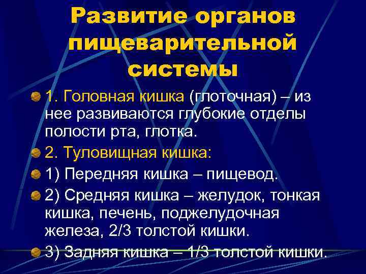 Развитие органов пищеварительной системы 1. Головная кишка (глоточная) – из нее развиваются глубокие отделы