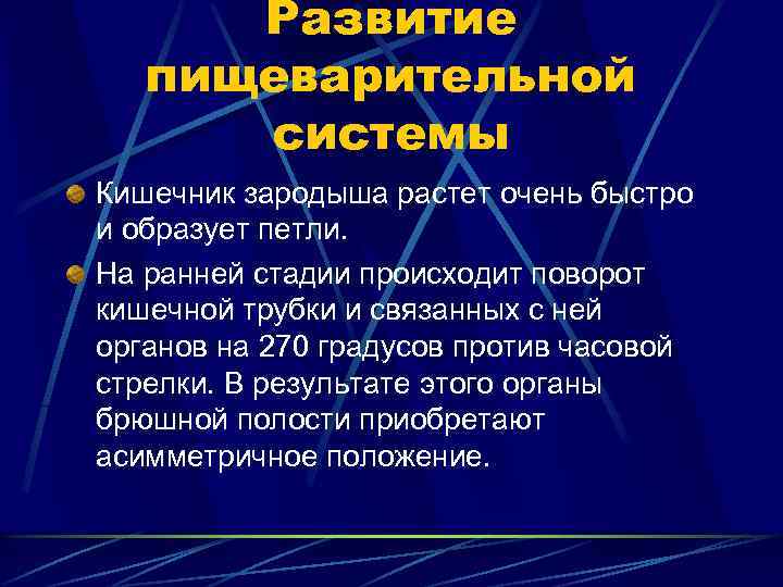 Развитие пищеварительной системы Кишечник зародыша растет очень быстро и образует петли. На ранней стадии