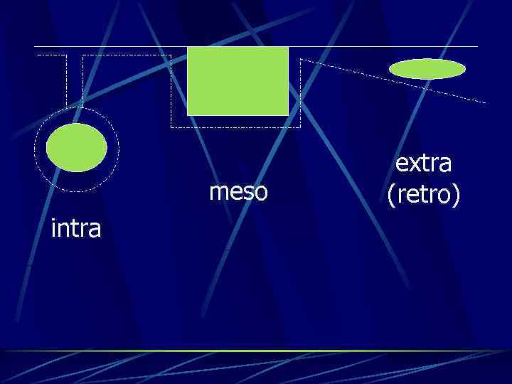 meso intra extra (retro) 