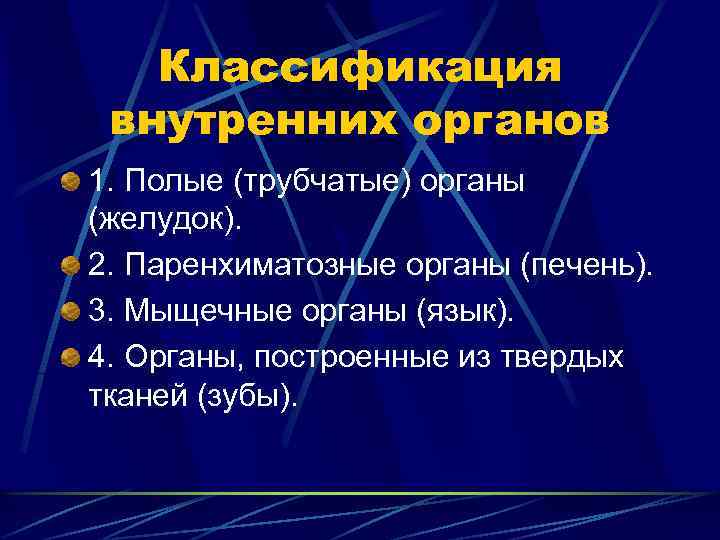 Классификация внутренних органов 1. Полые (трубчатые) органы (желудок). 2. Паренхиматозные органы (печень). 3. Мыщечные