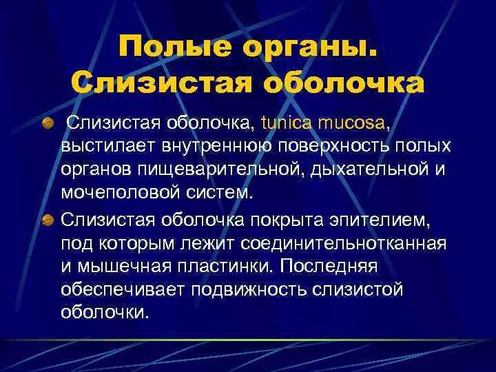 Полые органы. Слизистая оболочка, tunica mucosa, выстилает внутреннюю поверхность полых органов пищеварительной, дыхательной и