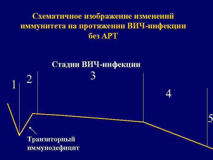 Схематичное изображение изменений иммунитета на протяжении ВИЧ-инфекции без АРТ Стадии ВИЧ-инфекции 2 1 3