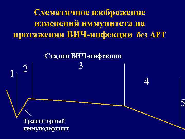 Схематичное изображение изменений иммунитета на протяжении ВИЧ-инфекции без АРТ Стадии ВИЧ-инфекции 2 1 3