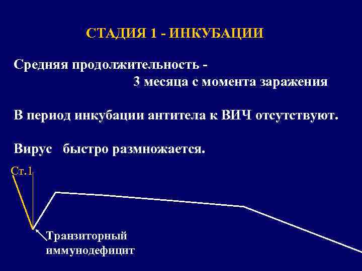 СТАДИЯ 1 - ИНКУБАЦИИ Средняя продолжительность 3 месяца с момента заражения В период инкубации