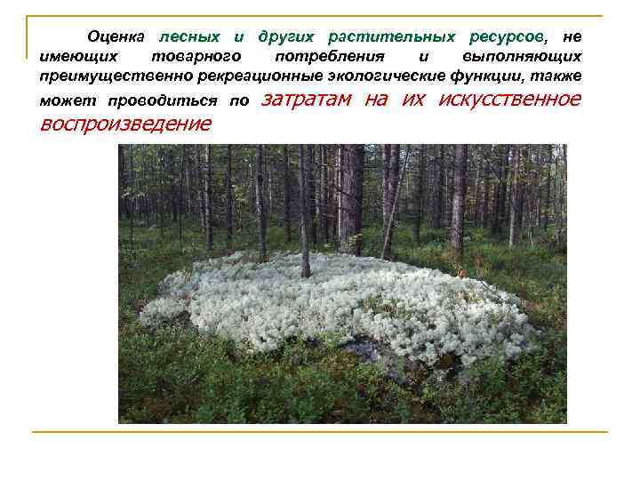 Оценка лесных и других растительных ресурсов, не имеющих товарного потребления и выполняющих преимущественно рекреационные