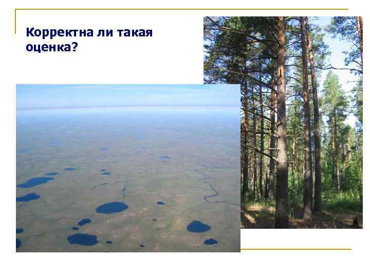 Корректна ли такая оценка? 