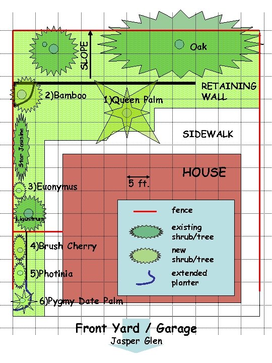 SLOPE Oak 2)Bamboo RETAINING WALL 1)Queen Palm Star Jasmine SIDEWALK 5 ft. 3)Euonymus HOUSE