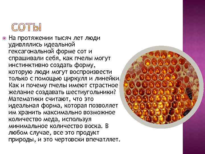  На протяжении тысяч лет люди удивлялись идеальной гексагональной форме сот и спрашивали себя,