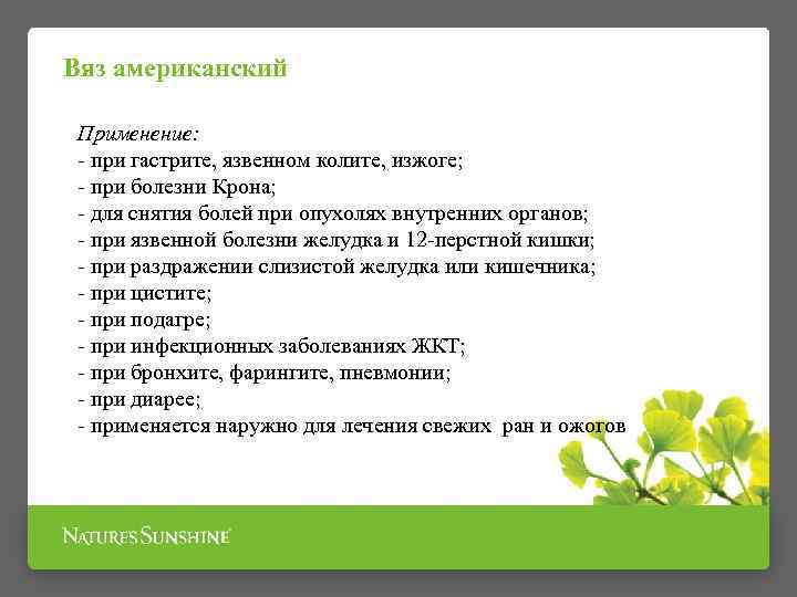 Вяз американский Применение: - при гастрите, язвенном колите, изжоге; - при болезни Крона; -
