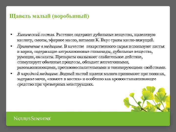 Щавель малый (воробьиный) • • • Химический состав. Растение содержит дубильные вещества, щавелевую кислоту,