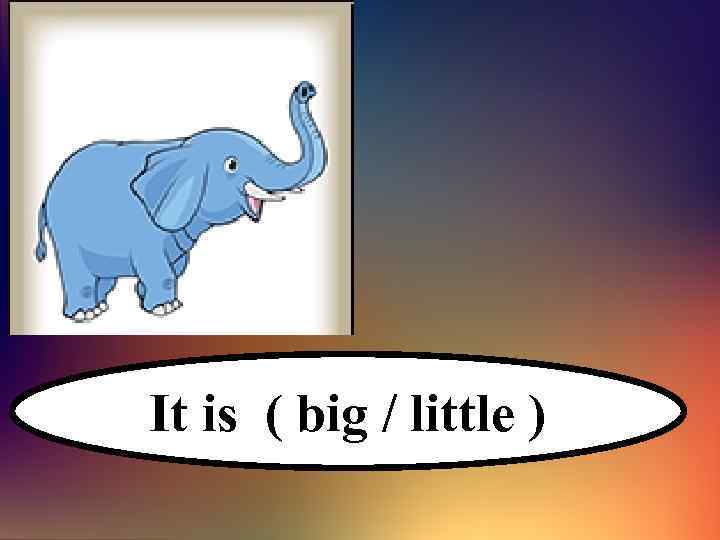 It is ( big / little ) 