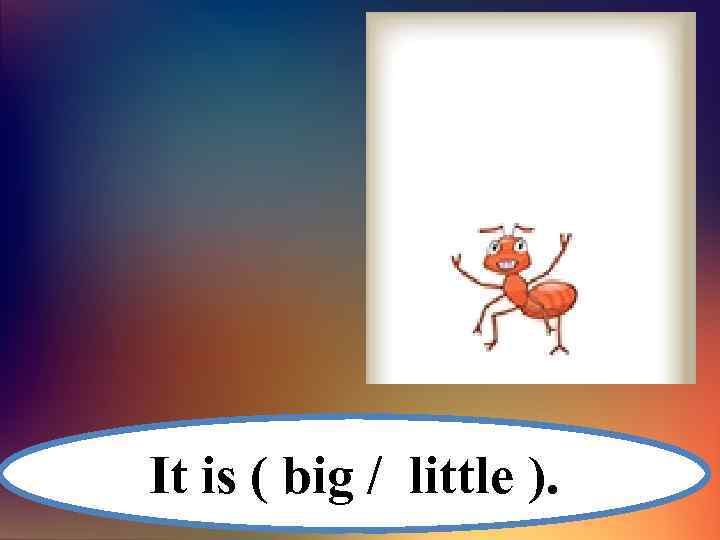 It is ( big / little ). 