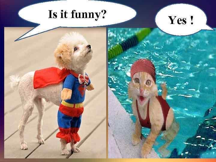 Is it funny? Yes ! 