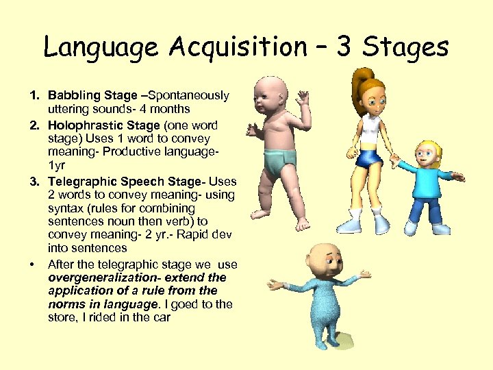 Language Acquisition – 3 Stages 1. Babbling Stage –Spontaneously uttering sounds- 4 months 2.