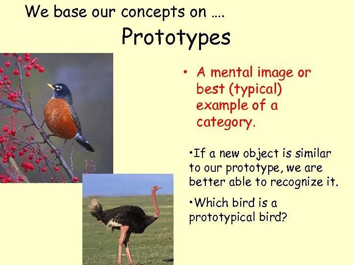 We base our concepts on …. Prototypes • A mental image or best (typical)