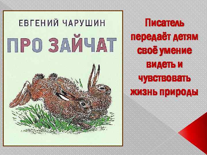 Писатель передаёт детям своё умение видеть и чувствовать жизнь природы 