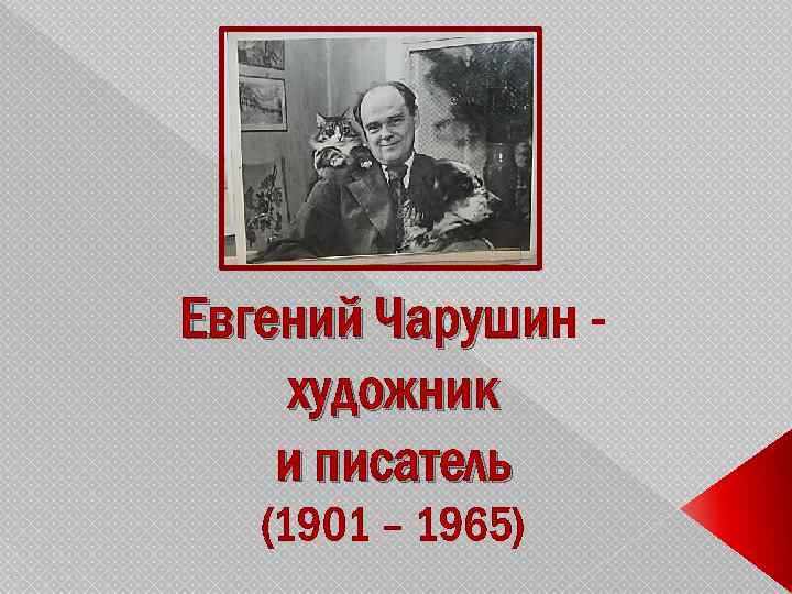 Евгений Чарушин Чаруши художник и писатель (1901 – 1965) 