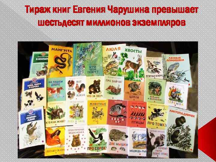 Тираж книг Евгения Чарушина превышает шестьдесят миллионов экземпляров 