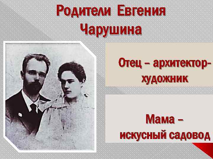 Отец е. Родители Чарушина Евгения Ивановича. Мать е и Чарушина. Мать Чарушина Евгения Ивановича. Чарушин родители.