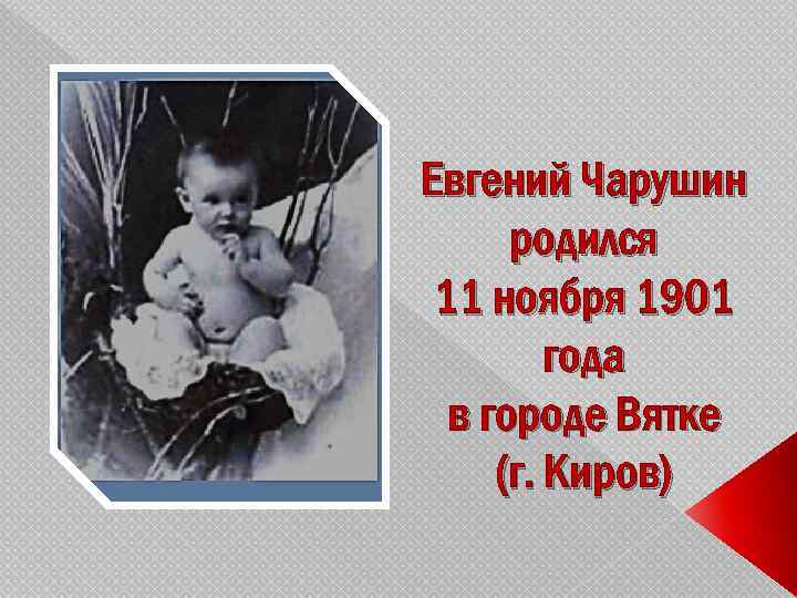 Евгений Чарушин родился 11 ноября 1901 года в городе Вятке (г. Киров) 