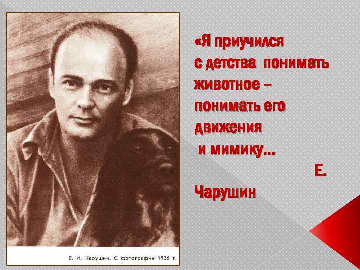  «Я приучился с детства понимать животное – понимать его движения и мимику… Е.