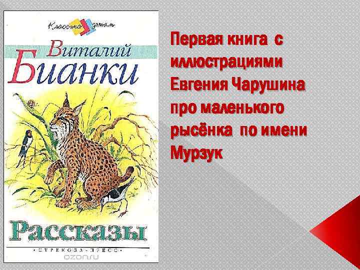 Первая книга с иллюстрациями Евгения Чарушина про маленького рысёнка по имени Мурзук 