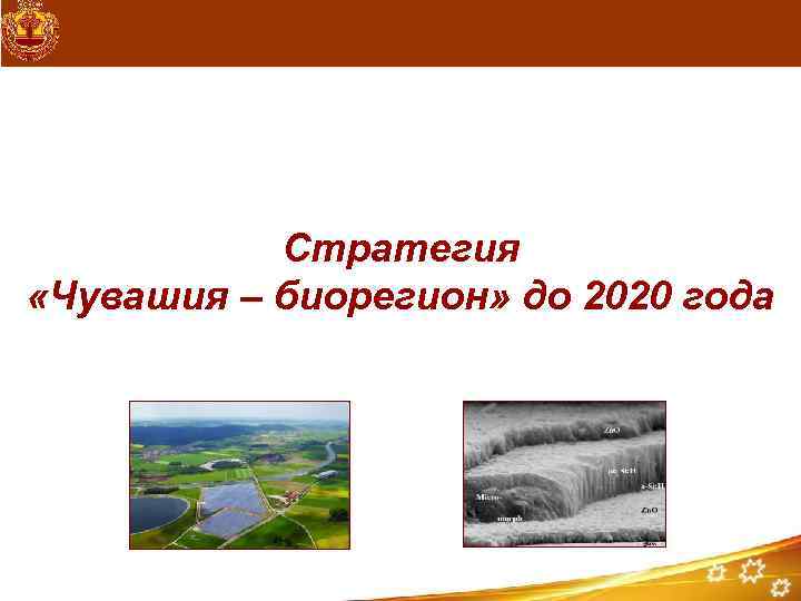 Стратегия «Чувашия – биорегион» до 2020 года 