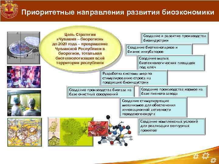 Приоритетные направления развития биоэкономики Цель Стратегии «Чувашия – биорегион» до 2020 года – превращение