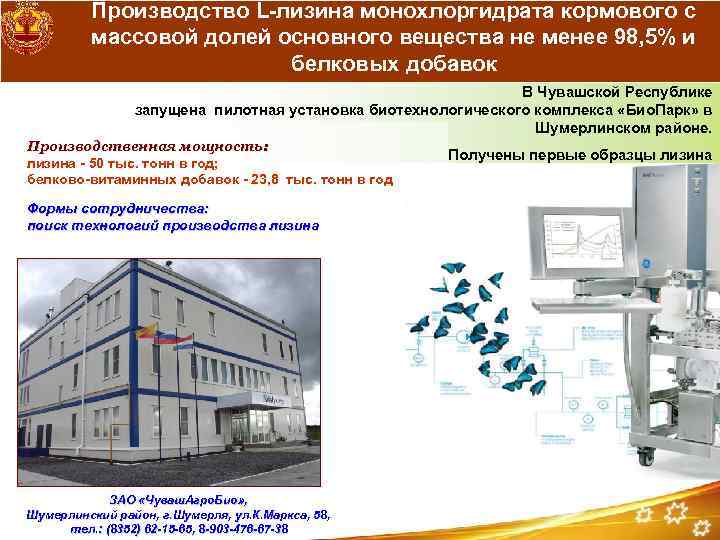 Производство L-лизина монохлоргидрата кормового с массовой долей основного вещества не менее 98, 5% и