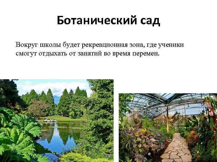 Ботанический сад Вокруг школы будет рекреационная зона, где ученики смогут отдыхать от занятий во