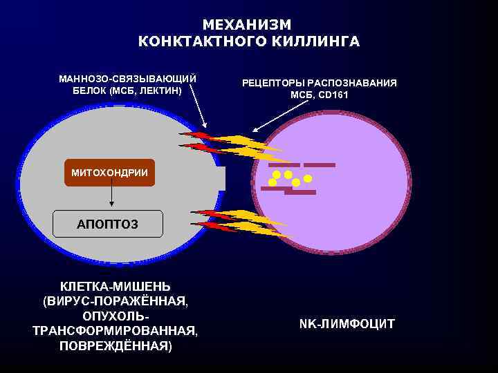 Факторы механизмы