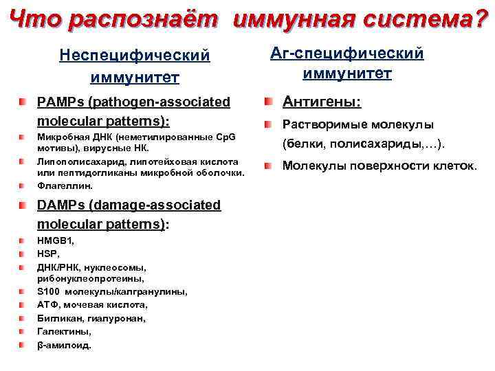 Что распознаёт иммунная система? Неспецифический иммунитет PAMPs (pathogen-associated molecular patterns): Микробная ДНК (неметилированные Cp.