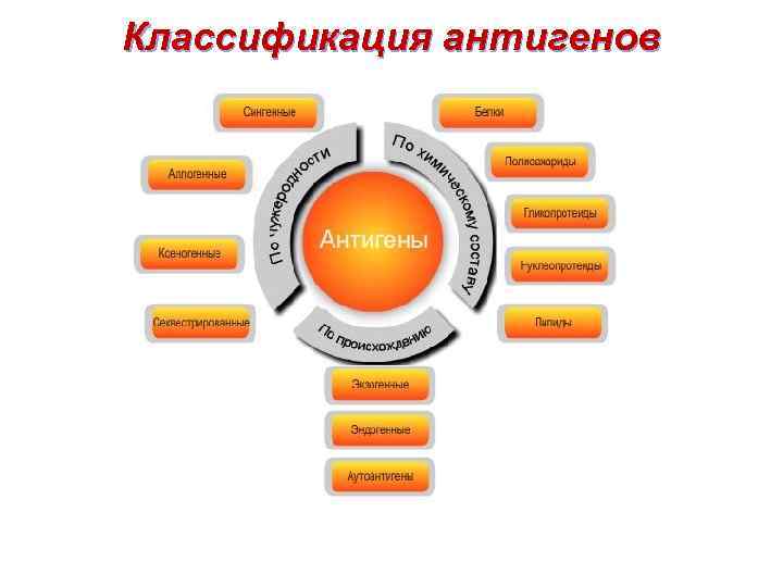 Классификация антигенов 