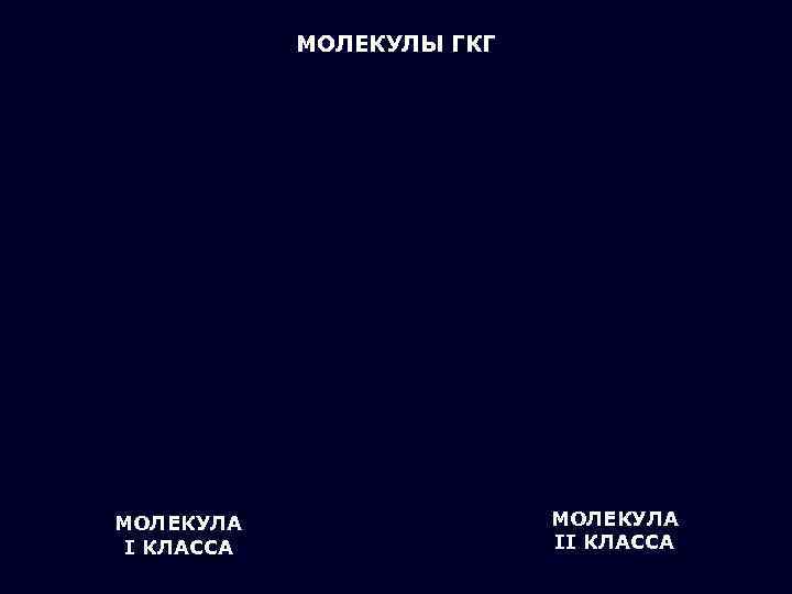 МОЛЕКУЛЫ ГКГ α-цепь α 2 α-цепь α 1 β 1 α 2 β 2