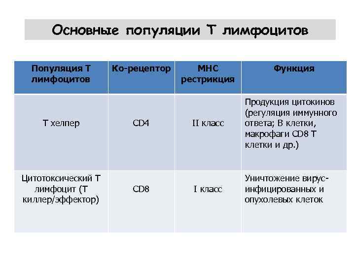 Основные популяции Т лимфоцитов Популяция Т лимфоцитов Т хелпер Цитотоксический Т лимфоцит (Т киллер/эффектор)