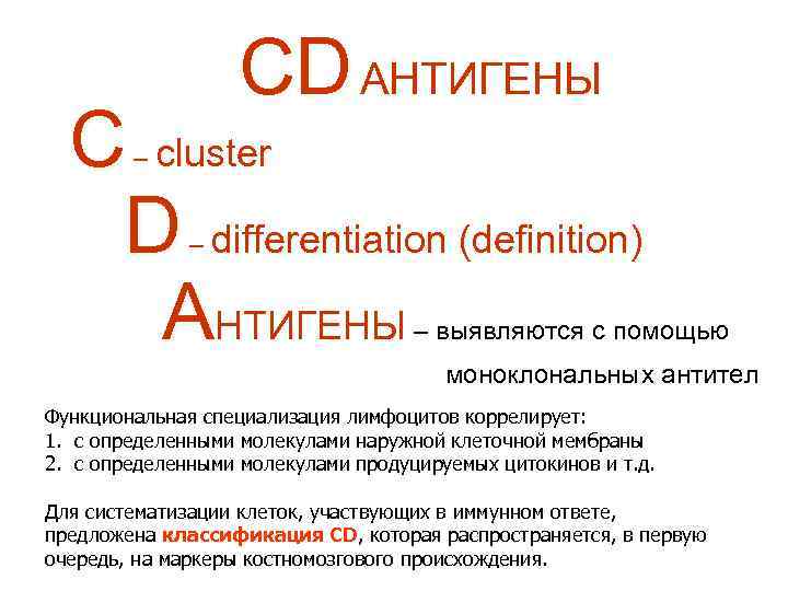 CD АНТИГЕНЫ C cluster D differentiation (definition) АНТИГЕНЫ – – – выявляются с помощью