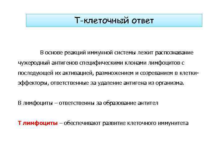 Т-клеточный ответ В основе реакций иммунной системы лежит распознавание чужеродный антигенов специфическими клонами лимфоцитов