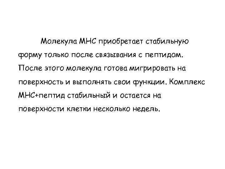 Молекула МНС приобретает стабильную форму только после связывания с пептидом. После этого молекула готова