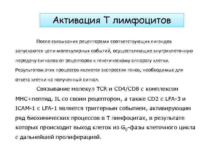 Активация Т лимфоцитов После связывания рецепторами соответствующих лигандов запускаются цепи молекулярных событий, осуществляющие внутриклеточную