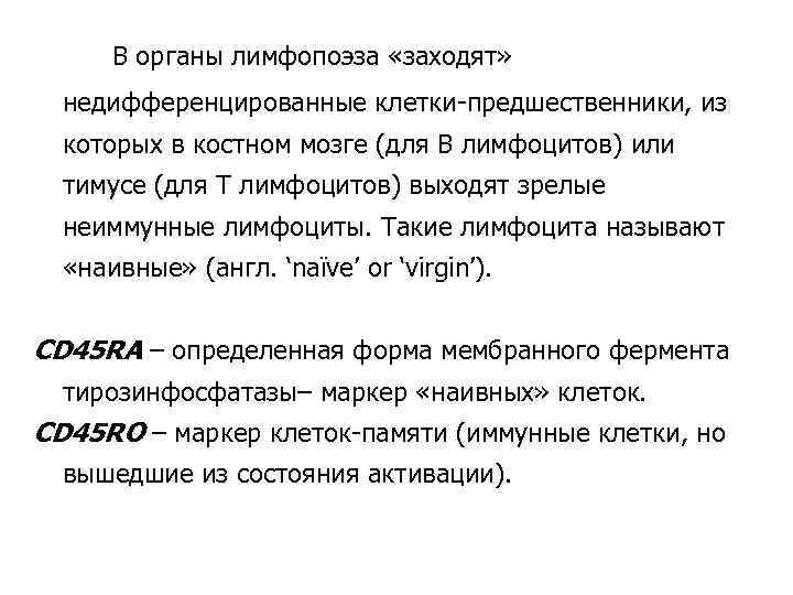 В органы лимфопоэза «заходят» недифференцированные клетки-предшественники, из которых в костном мозге (для В лимфоцитов)