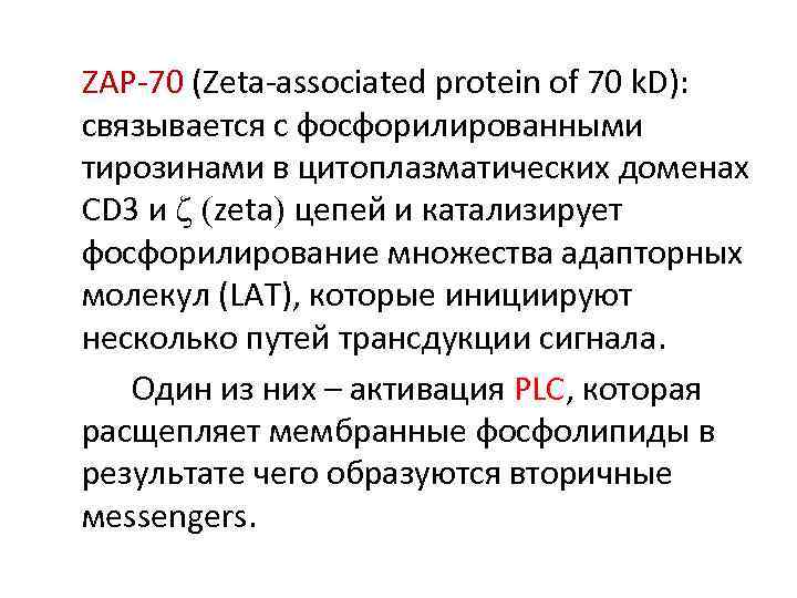 ZAP-70 (Zeta-associated protein of 70 k. D): связывается с фосфорилированными тирозинами в цитоплазматических доменах